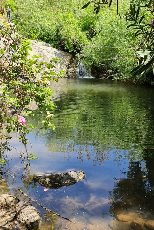 حالة الطقس لهذا اليوم